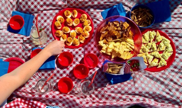 Entertaining on a Budget with Dollar Tree: #CurvilyGinghamPicnic